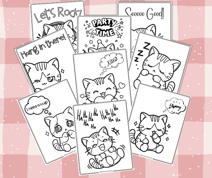 kitten corner coloring pages mockup 